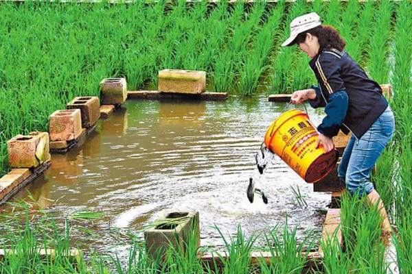 绌蜂汉鍋氫粈涔堢敓鎰忔潵閽卞揩.jpg